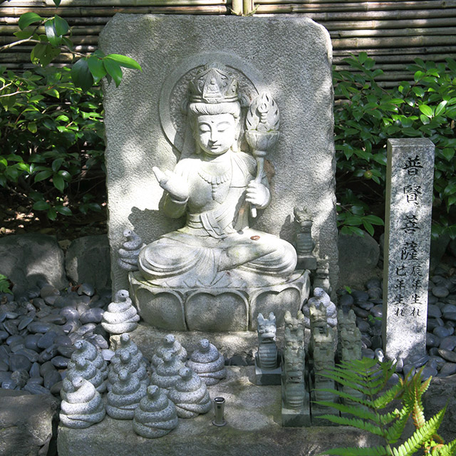 普賢菩薩