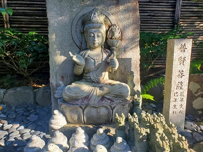 【京都宇治・宝善院】守本尊八仏の一体、普賢菩薩です。