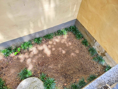 【京都宇治・宝善院】次の花を植える準備をしています。