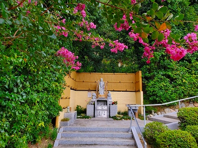 水子供養の数珠掛け地蔵尊前にあります百日紅（サルスベリ）の花が綺麗に咲いています。