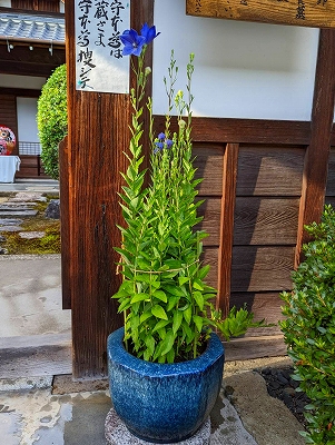 宝善院（京都府宇治市）の門前に置いています。