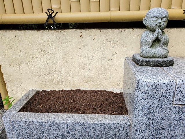 水子供養のお地蔵さま前にあるものです。ここでは今年も桔梗(ききょう)を種から育てます。